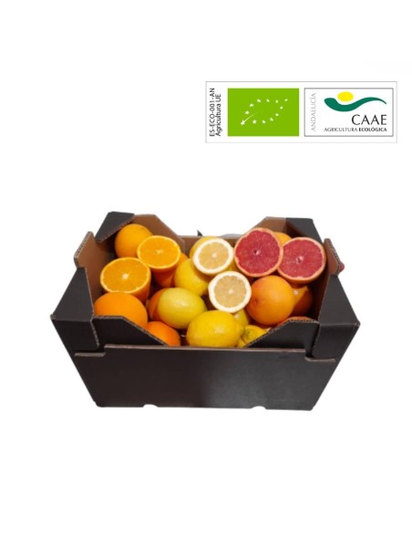 Panier Bio Citrons Pamplemousses Oranges | Direct agriculteur