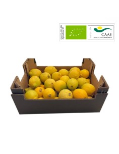 Panier Biologique Citrons | Direct agriculteur bio
