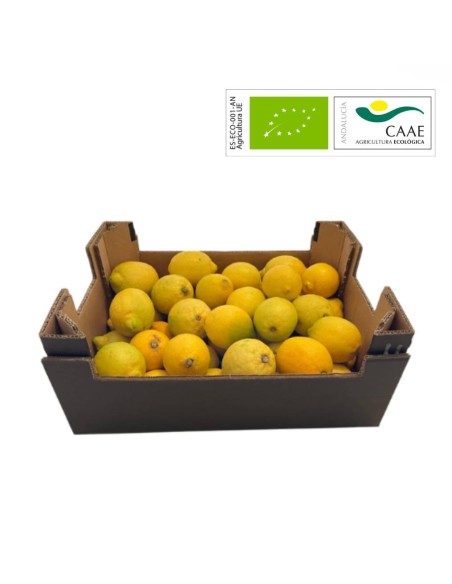 Panier Biologique Citrons | Direct agriculteur bio