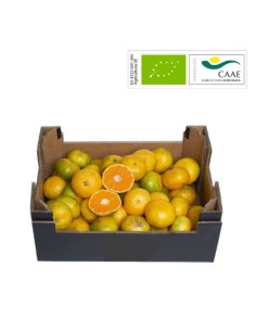 Clémentines Biologiques | Direct agriculteur bio