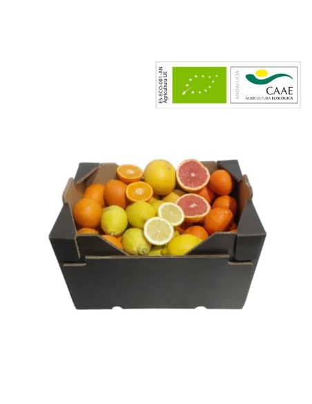 Mix Biologique Agrumes 10 kg | Cagette Mixte Bio