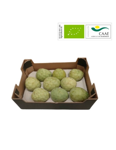 Anones Biologiques (Chirimoya) | Direct agriculteur bio