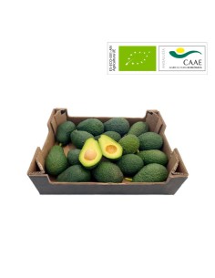 Avocats Hass Biologiques | Direct agriculteur bio