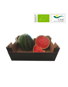 pasteques-biologiques-direct-agriculteur
