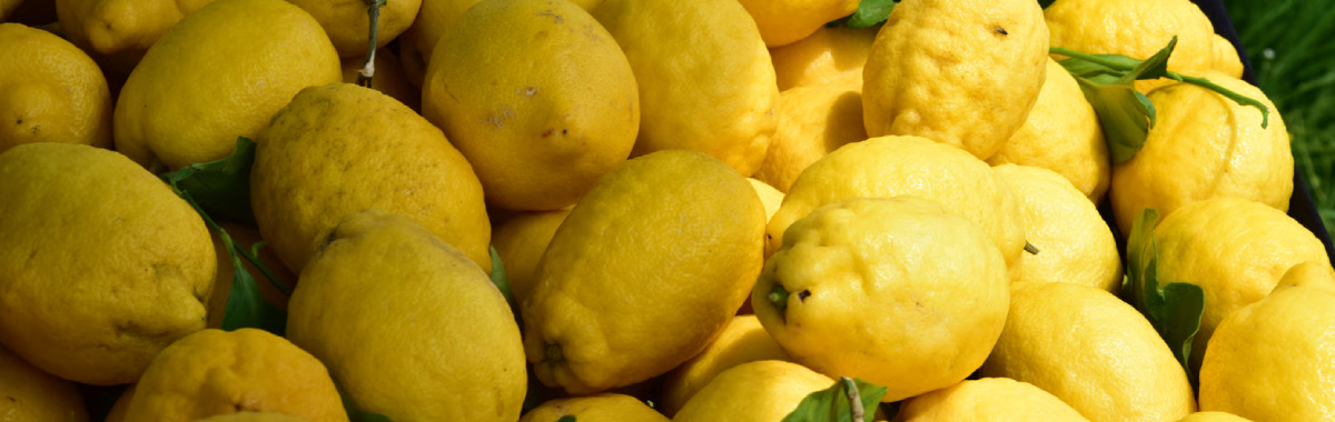 Agrumes, fruits tropicaux et paniers bio cultivés dans le sud de l'Espagne