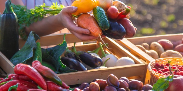 Pourquoi un agriculteur vend-il aujourd'hui ses fruits sans intermédiaires ?